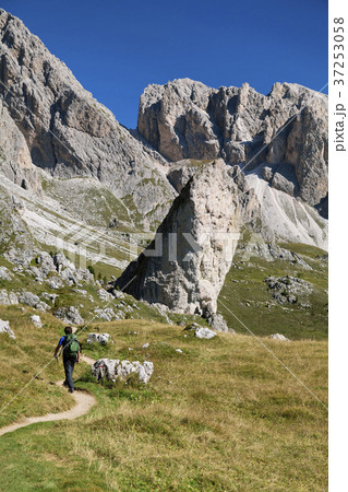 Val Gardena and Ortisei, Dolomites 37253058