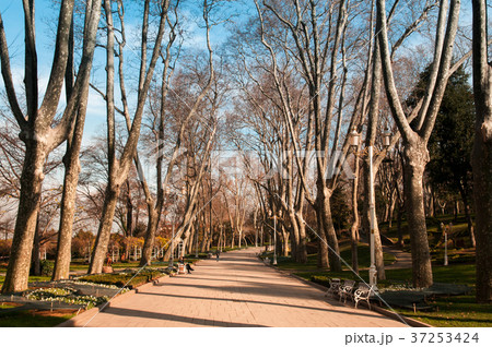 Gulhane park, Oldest public park in istanbul Gulhane park, Oldest public park in istanbul 37253424