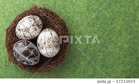 Easter eggs in the nest on green background 37253655