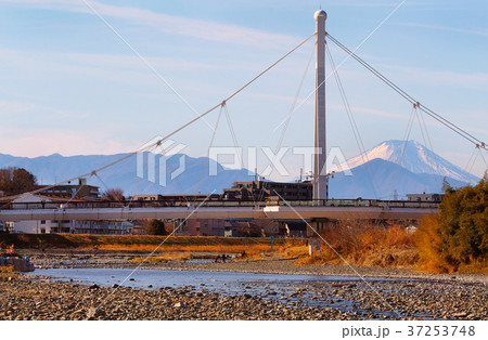 【多摩の富嶽八景】富士山とふれあい橋（東京都日野市） 37253748