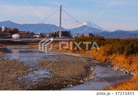 【多摩の富嶽八景】富士山とふれあい橋（東京都日野市） 37253855
