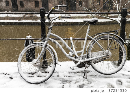 Winter Bike Utrecht Winter Bike Utrecht 37254530