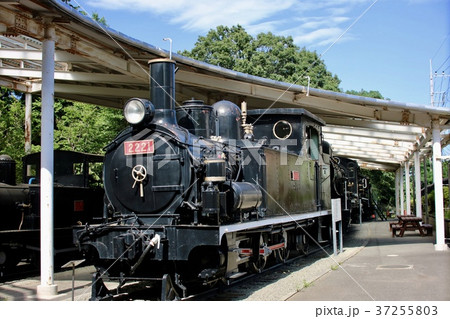 真夏の青梅鉄道公園 37255803