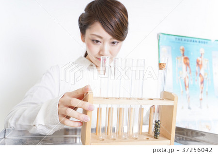研究をする若い女性 37256042