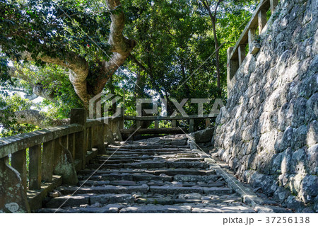 久能山東照宮表参道の石階段の写真素材