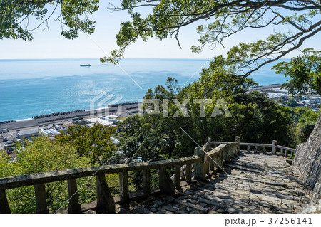 久能山東照宮参道から見た駿河湾の眺め 37256141