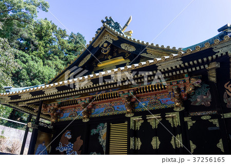 久能山東照宮御社殿 37256165