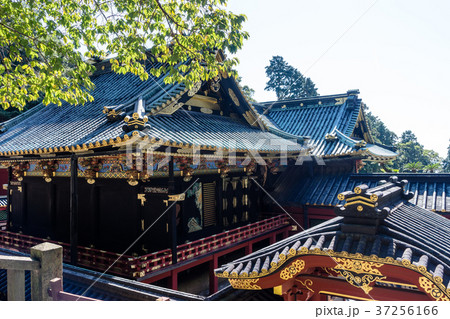 久能山東照宮御社殿 37256166