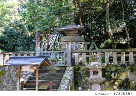 久能山東照宮　新廟 37256167