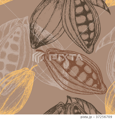 Cocoa hand drawn seamless pattern. Vector 37256709
