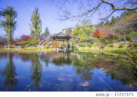 風景 池 季節 37257375