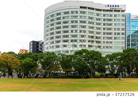 街景　天神中央公園スナップ 37257526