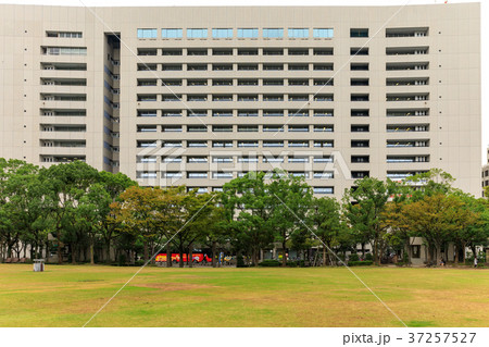 街景 天神中央公園スナップ 福岡市役所 街景 天神中央公園スナップ 福岡市役所 37257527