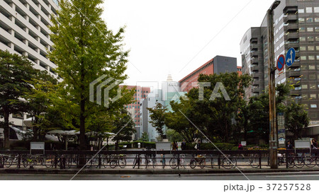 街景　福岡市役所西側ふれあい広場 37257528