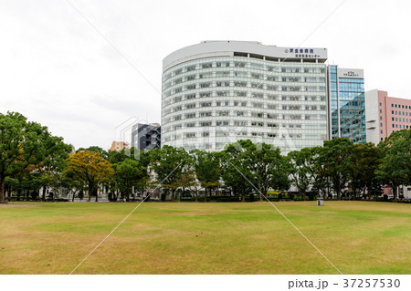 街景 天神中央公園スナップ 街景 天神中央公園スナップ 37257530