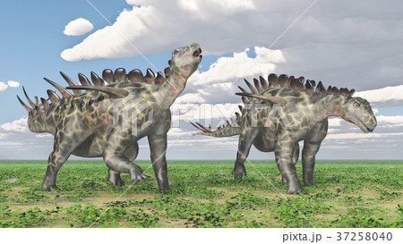 Dinosaur Huayangosaurusのイラスト素材 [37258040] - PIXTA