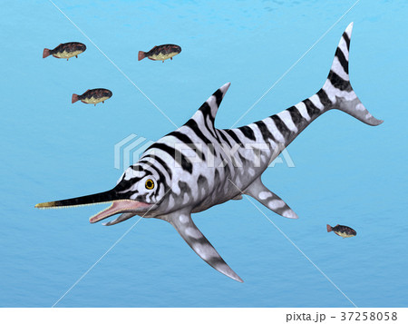 Ichthyosaur Eurhinosaurus 37258058