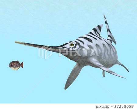 Ichthyosaur Eurhinosaurus Ichthyosaur Eurhinosaurus 37258059