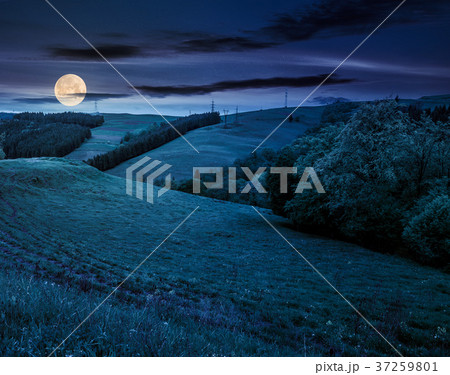 lovely countryside with grassy hills at night 37259801