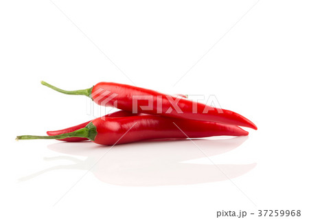 fresh red chili on white background fresh red chili on white background 37259968