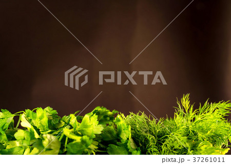 Background of various greens with copyspace 37261011