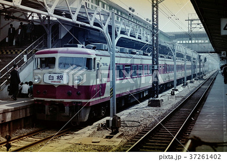 国鉄157系電車、特急「白根」 37261402