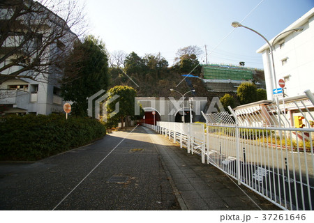 横浜 見晴隧道 37261646