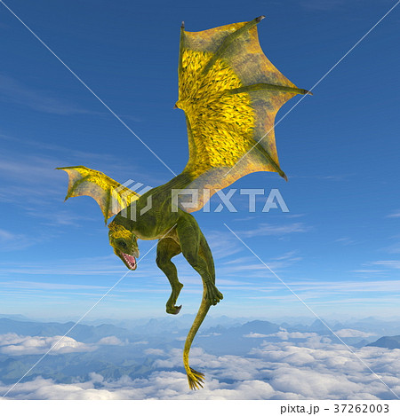 ドラゴン 37262003