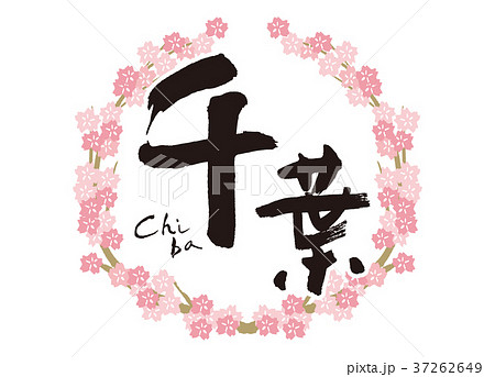 千葉 筆文字 桜 フレーム 千葉 筆文字 桜 フレーム 37262649