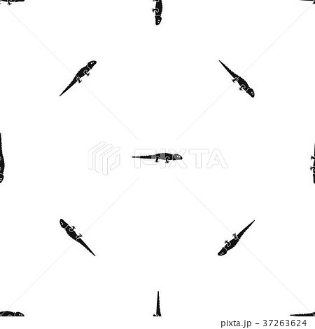 Iguana pattern seamless black 37263624