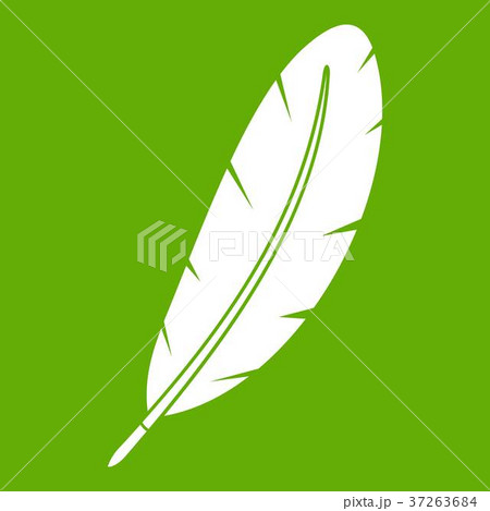Feather pen icon green Feather pen icon green 37263684