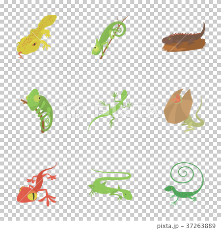 Different lizard icons set, cartoon style Different lizard icons set, cartoon style 37263889