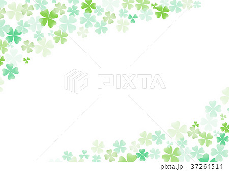 クローバー 37264514