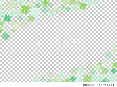 クローバー 37264514