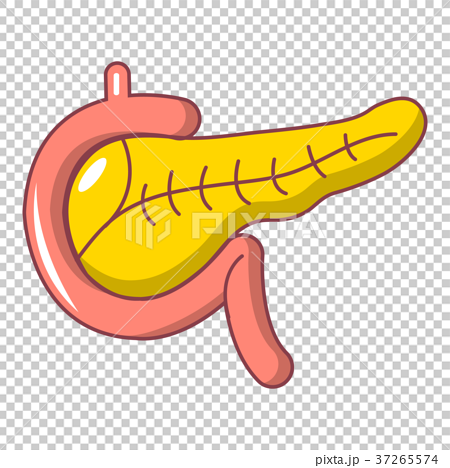cartoon pancreas clipart