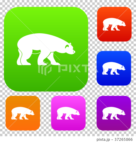 Bear set collection Bear set collection 37265866