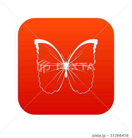 Butterfly icon digital red Butterfly icon digital red 37266456