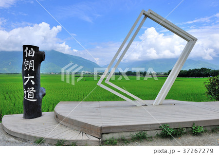 たんぼ 田んぼ 田圃 37267279