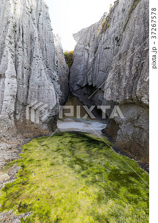 [青森県」 仏ヶ浦 [青森県」 仏ヶ浦 37267578