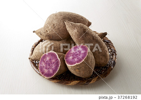 さつまいも　桜島紫 37268192