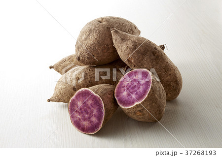 さつまいも　桜島紫 37268193