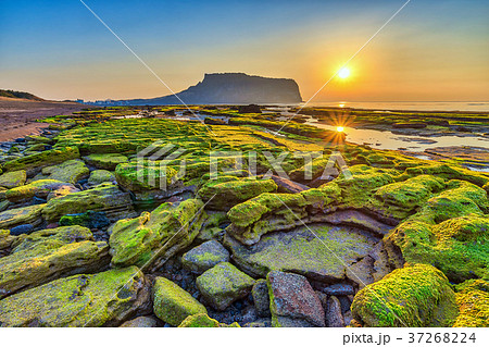 Sunrise at Seongsan Ilchulbong, Jeju Island, Korea 37268224