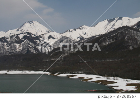 笹ヶ峰高原　残雪の早春 37268567