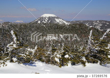 北八ヶ岳 北横岳の南峰から蓼科山を眺める 北八ヶ岳 北横岳の南峰から蓼科山を眺める 37269576