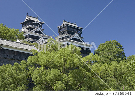 熊本城天守閣 北側伝統工芸館より 熊本城天守閣 北側伝統工芸館より 37269641