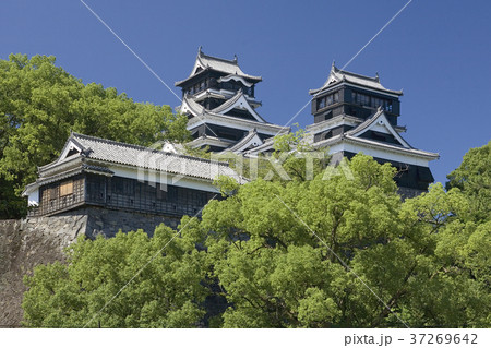 熊本城天守閣 北側伝統工芸館より 熊本城天守閣 北側伝統工芸館より 37269642