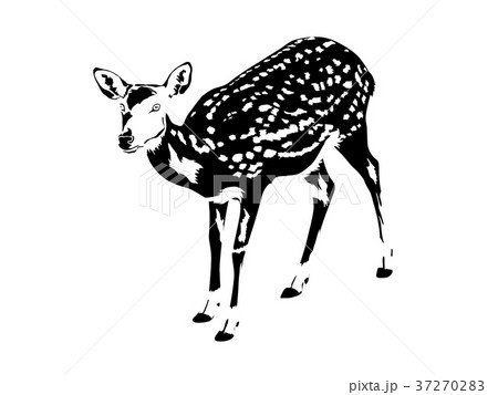 spotted deer silhouette in black and white 37270283