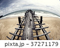 Wooden pier on the seaside landscape 37271179