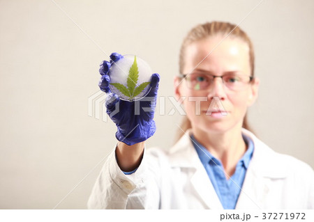 Woman doctor holding a cannabis leaf and oil.alternative medicin 37271972