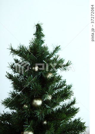 クリスマスツリー クリスマスツリー 37272064